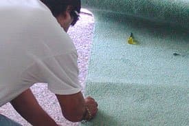 Carpet Service