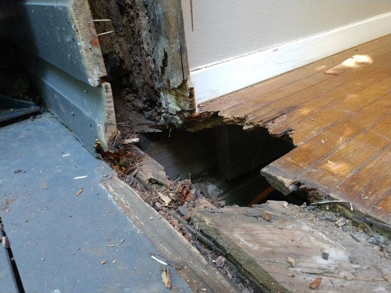 Woodfloor Model